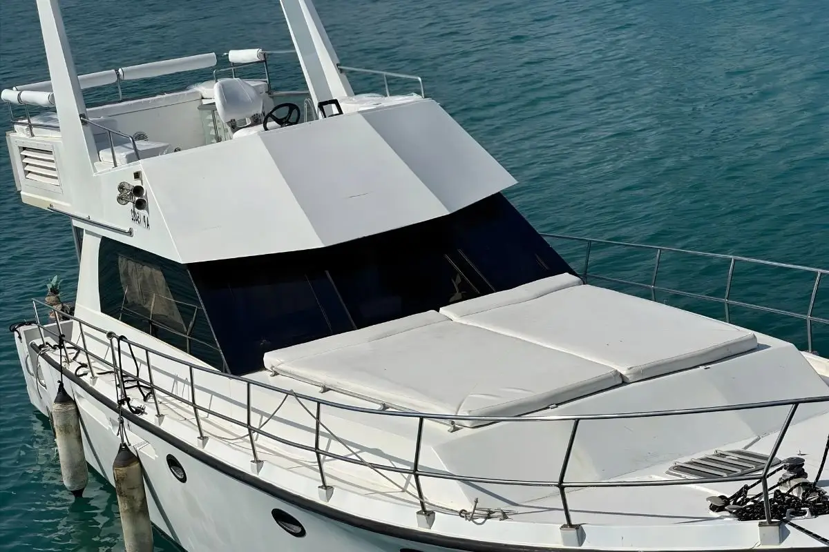 Shark Yacht — photo 5